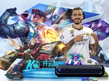 国际化进程 | BIBO